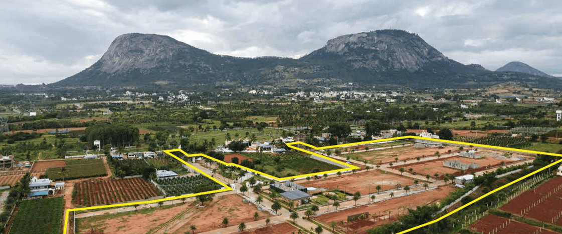 SQFT-NHL-VP1 - Alternative view